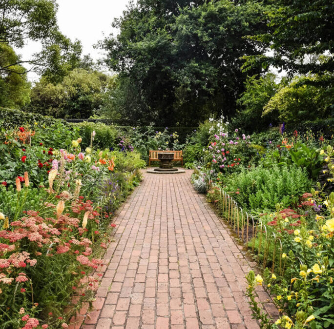 Iluminación de jardines: Ideas y consejos profesionales para un diseño perfecto